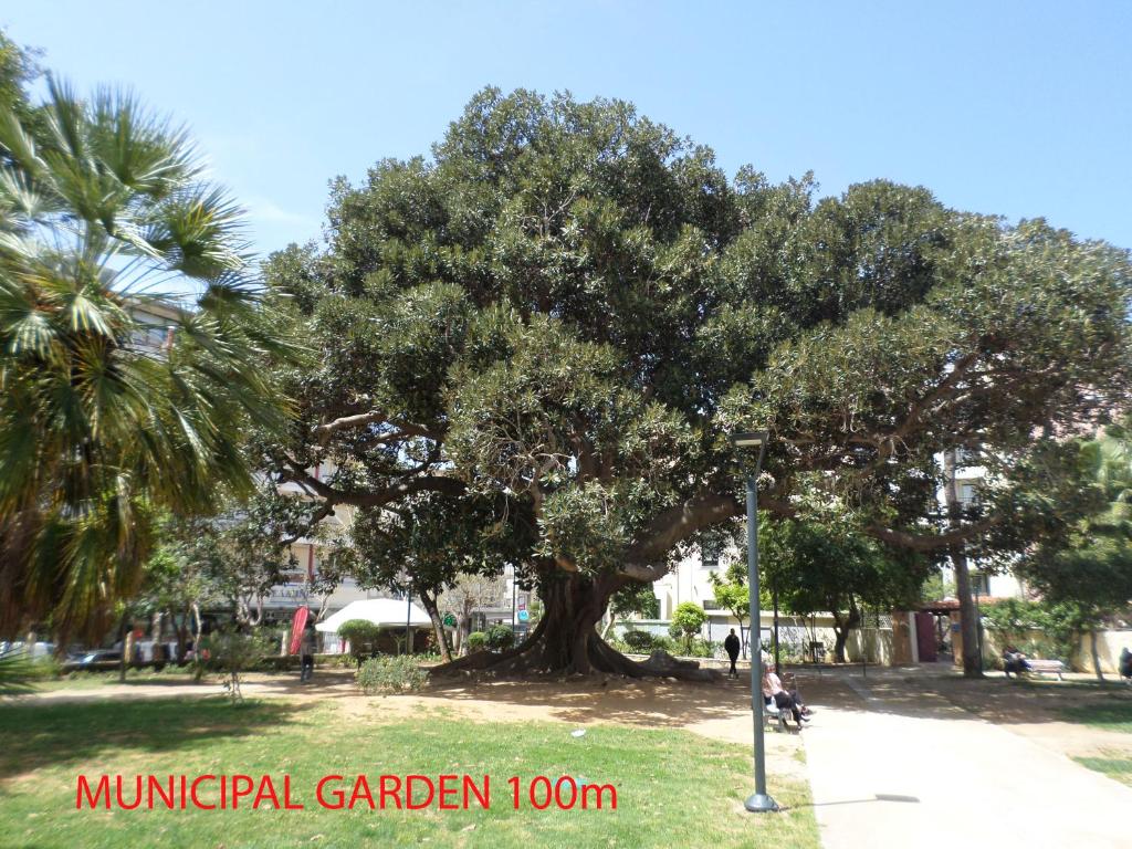 Tina Hotel - Resim 25