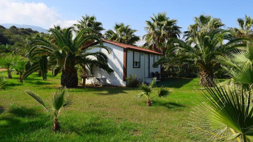 Zahrada ubytování La Palma Beachfront Suites