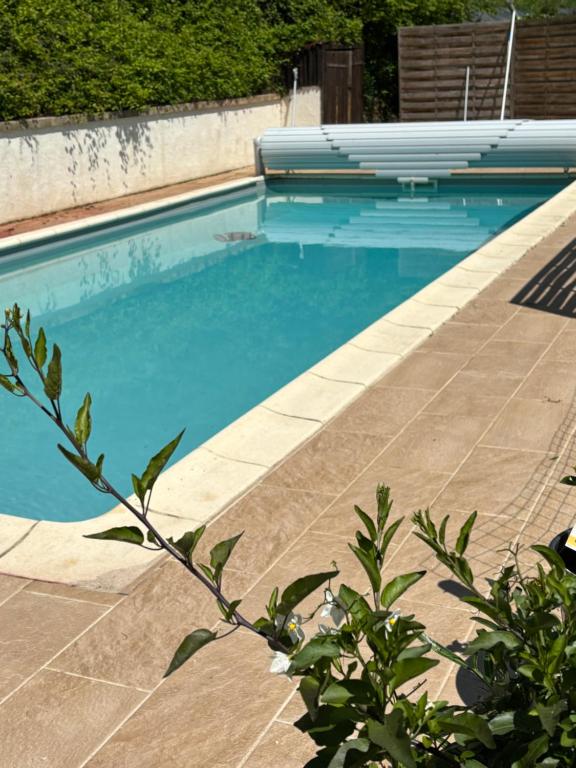une piscine avec de l'eau bleue dans une cour dans l'établissement Cosy Sarlat, à Sarlat-la-Canéda