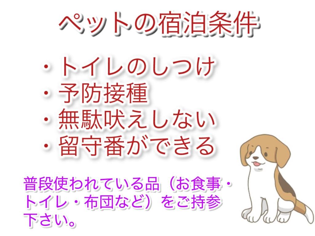 Domácí mazlíčci ubytovaní s hosty v ubytování ゲストハウスわかばGuestHouse WAKABA in Iwami