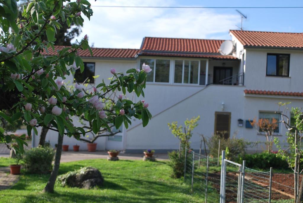 a white house with a tree in the yard at Apartment Rama in Poreč
