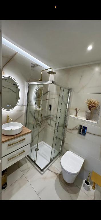 une salle de bain avec une douche en verre et des toilettes dans l'établissement Charmant studio climatisé, proche de la plage, à San-Martino-di-Lota