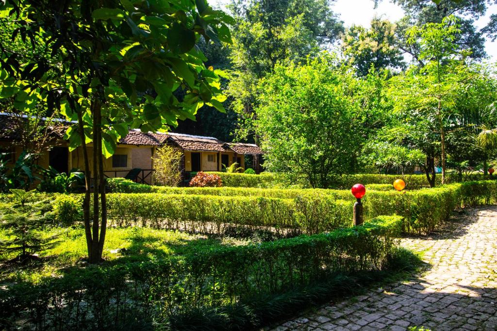 Zahrada ubytování Wild Planet Eco Retreat