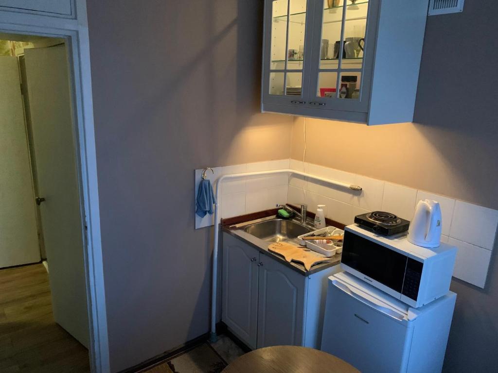 Kuchyň nebo kuchyňský kout v ubytování Jalaka 2- bedroom apartment