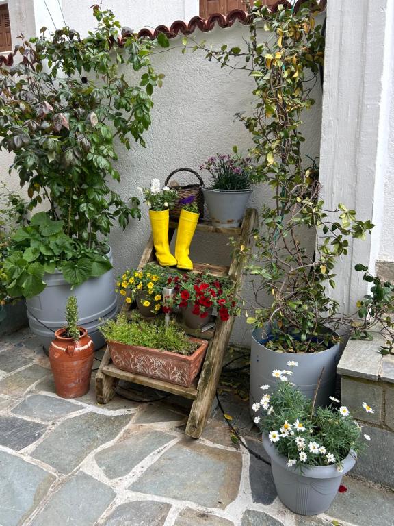 Zahrada ubytování Guesthouse Doma est 1991
