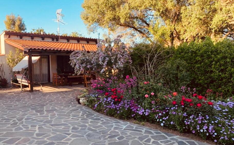 Κήπος έξω από το Il Giardino di Bruna Alghero