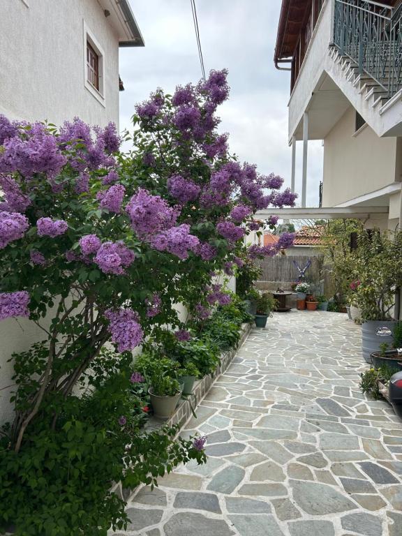 Zahrada ubytování Guesthouse Doma est 1991