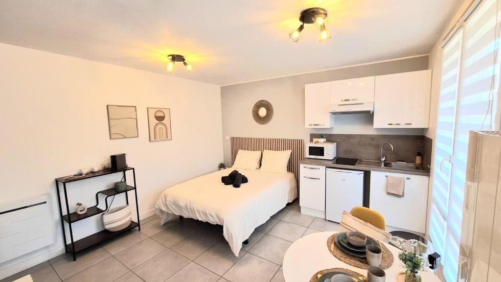 Η κουζίνα ή μικρή κουζίνα στο Studio Cosy et Élégant avec place privée