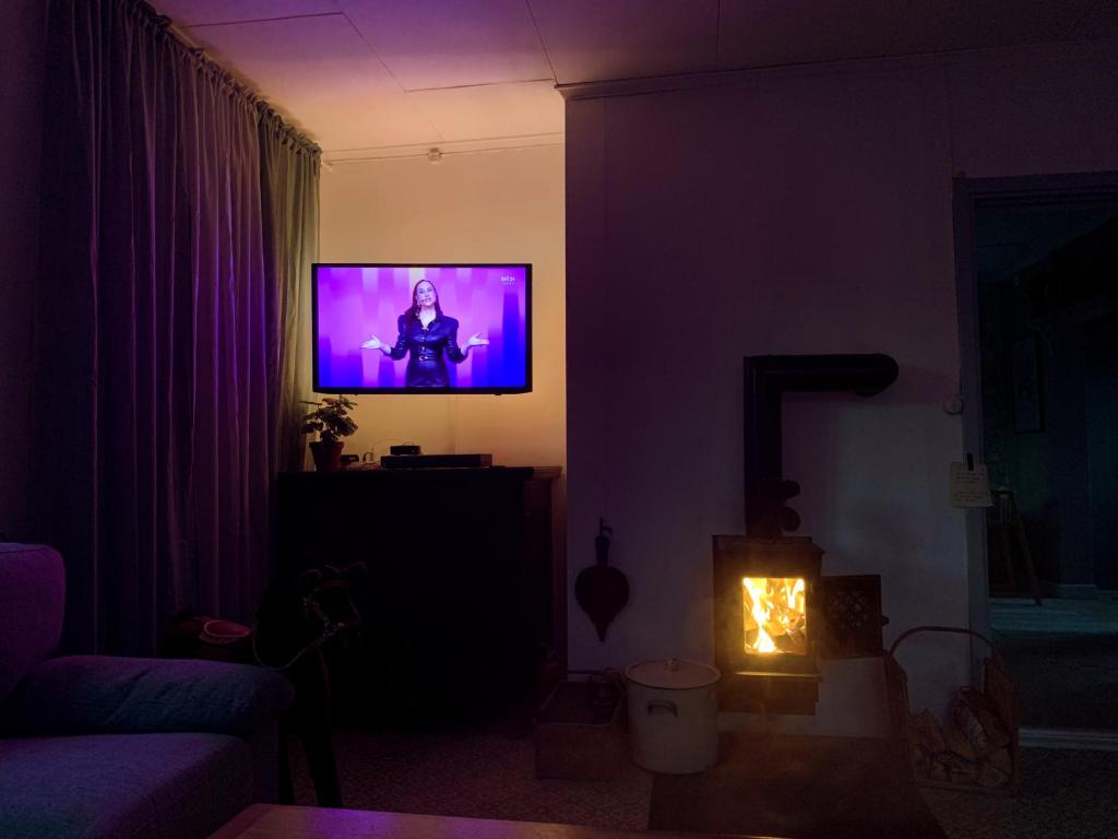 TV a/nebo společenská místnost v ubytování Swedish cottage in the Woods on Sollerön island