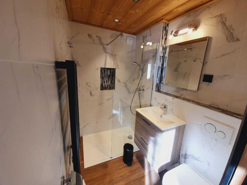 Koupelna v ubytování Chalet Delphinette - Spa privatif