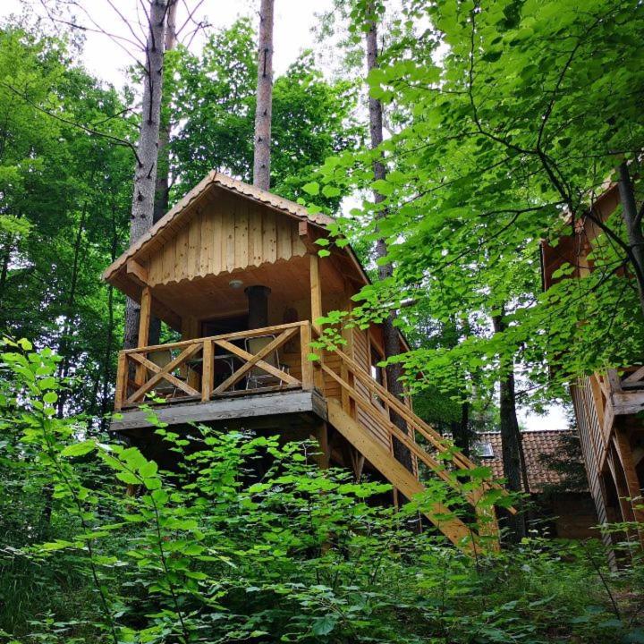 a tree house in the middle of the forest at Bakasana in Ruciane-Nida
