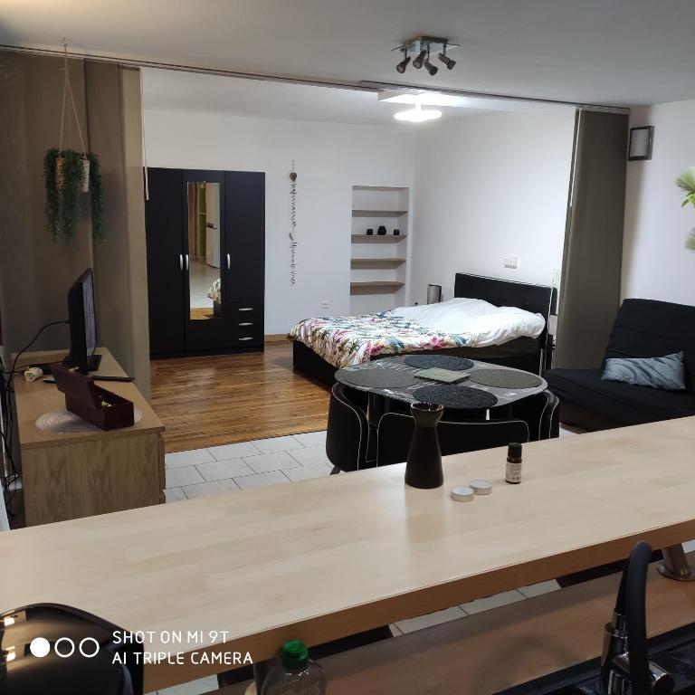 un salon avec un lit et une table dans l'établissement MEUBLE Centre Epinal SCI FLYM, à Épinal