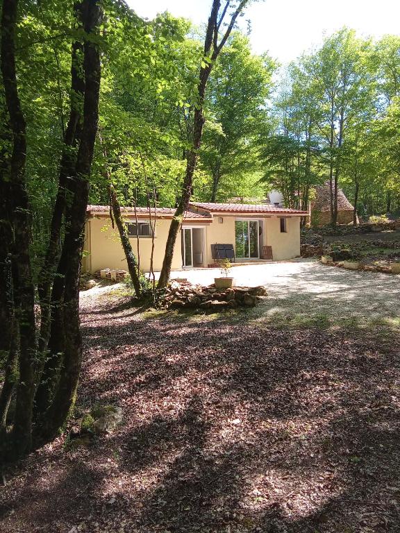 une petite maison au milieu d'une forêt dans l'établissement Gîte la Borie du bois Sarlat, à Saint-André-dʼAllas