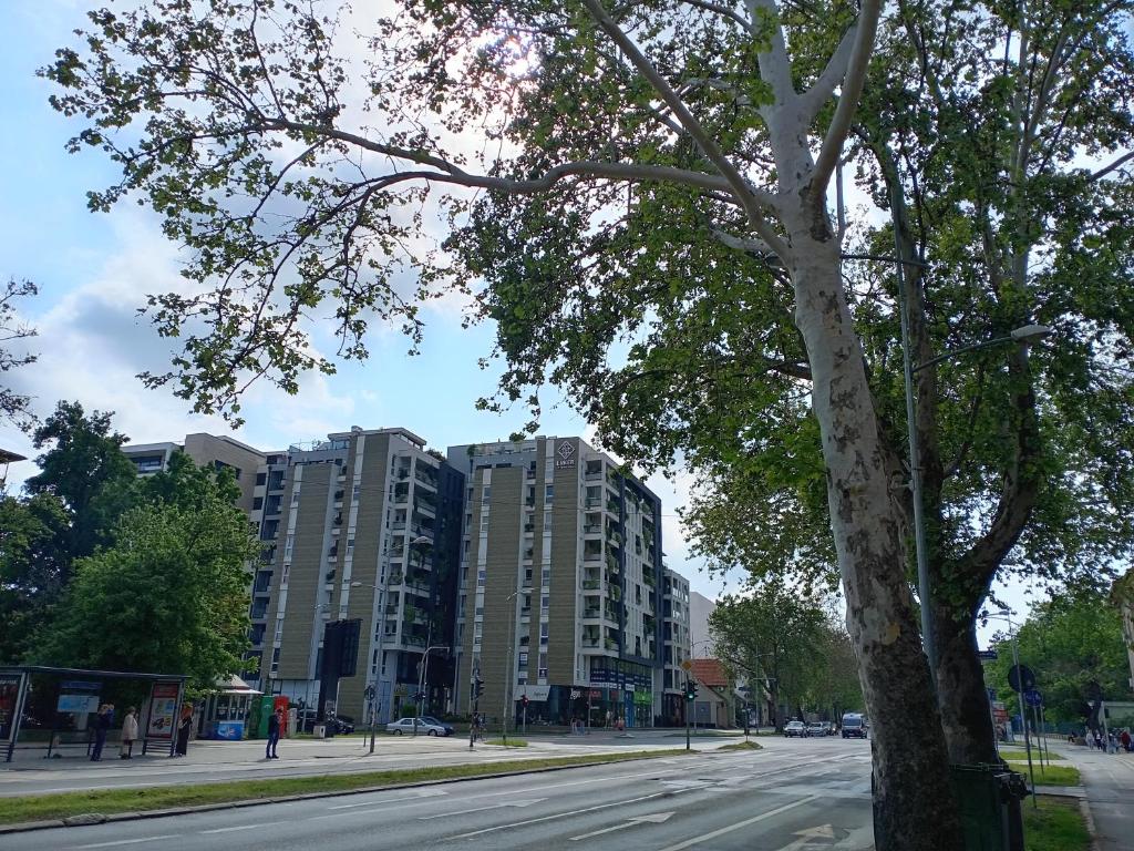 Okolí apartmánu