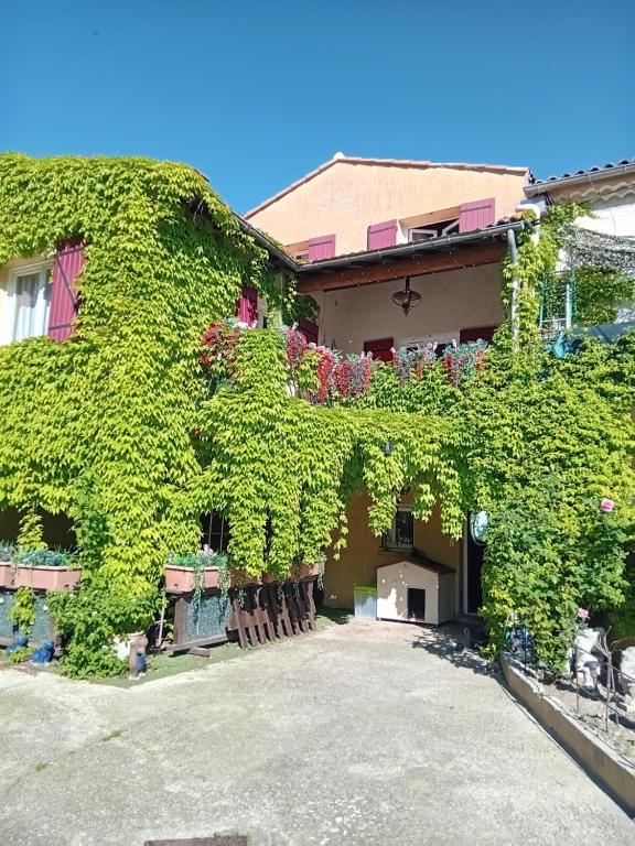 Κήπος έξω από το Appartement
