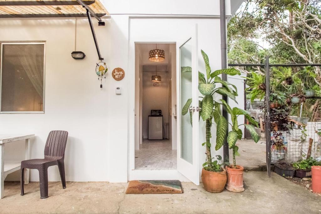 Zahrada ubytování JIVA Nest Self-Service Tiny Home in Rainforest Nest with Kitchen - WiFi, Monkeys, Bats!