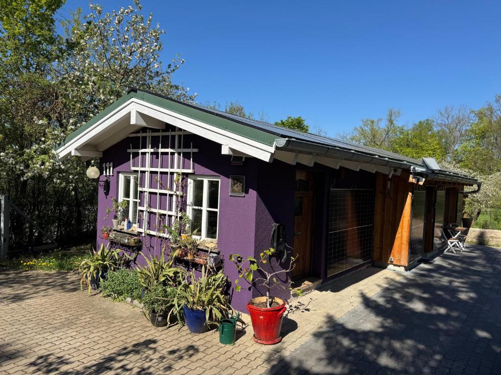 a purple house with plants in front of it at Ferienhaus Esswiese in Weimar