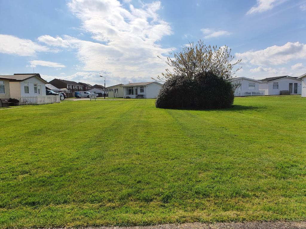 a green field with a bush in a yard with houses at Animal friendly Sea 2 mins away in Trusthorpe