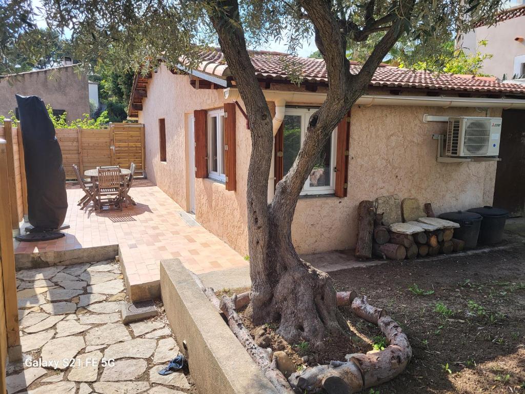 un arbre dans une cour à côté d'une maison dans l'établissement L'oustalet, à Ceyreste