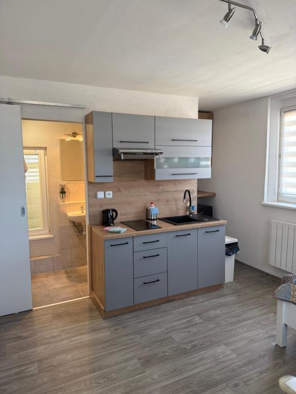 Kuchyň nebo kuchyňský kout v ubytování Apartmán Kaiser