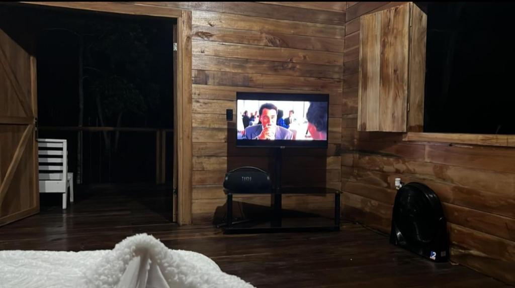 TV a/nebo společenská místnost v ubytování Picki's Cabin