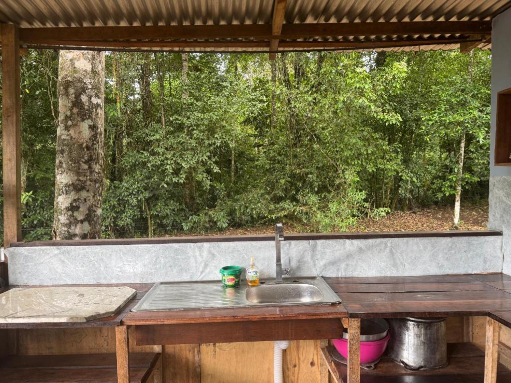 Zahrada ubytování Picki's Cabin