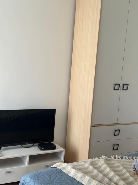 TV a/nebo společenská místnost v ubytování Lilyy