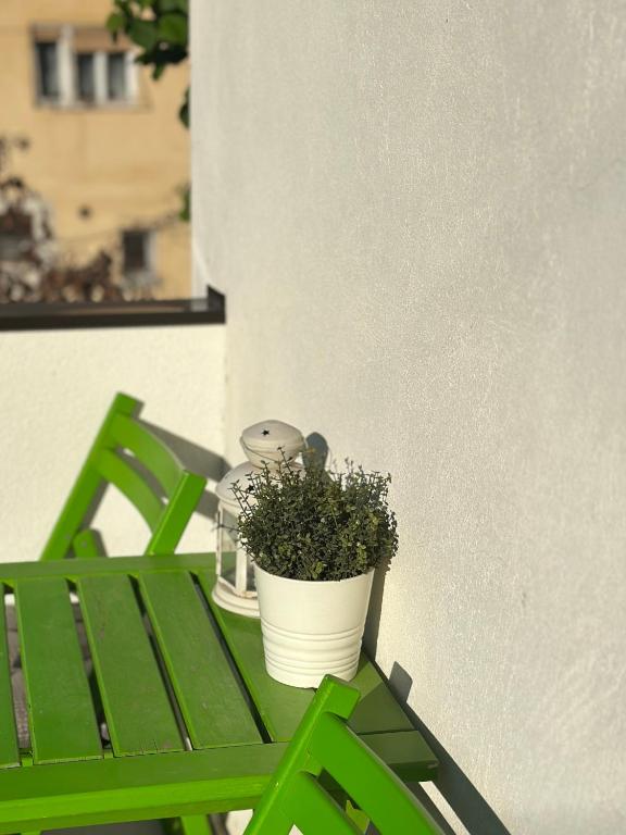 Fotografie z fotogalerie ubytování Lilyy v destinaci Leskovac