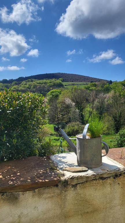 une statue d'un arrosoir avec vue sur un champ dans l'établissement La Maison du chataignier, à Cassagnolles
