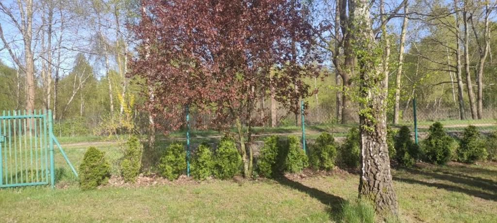 Zahrada ubytování Barwy Lata