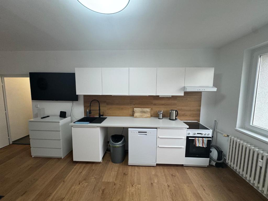 Kuchyň nebo kuchyňský kout v ubytování Apartmán Loket