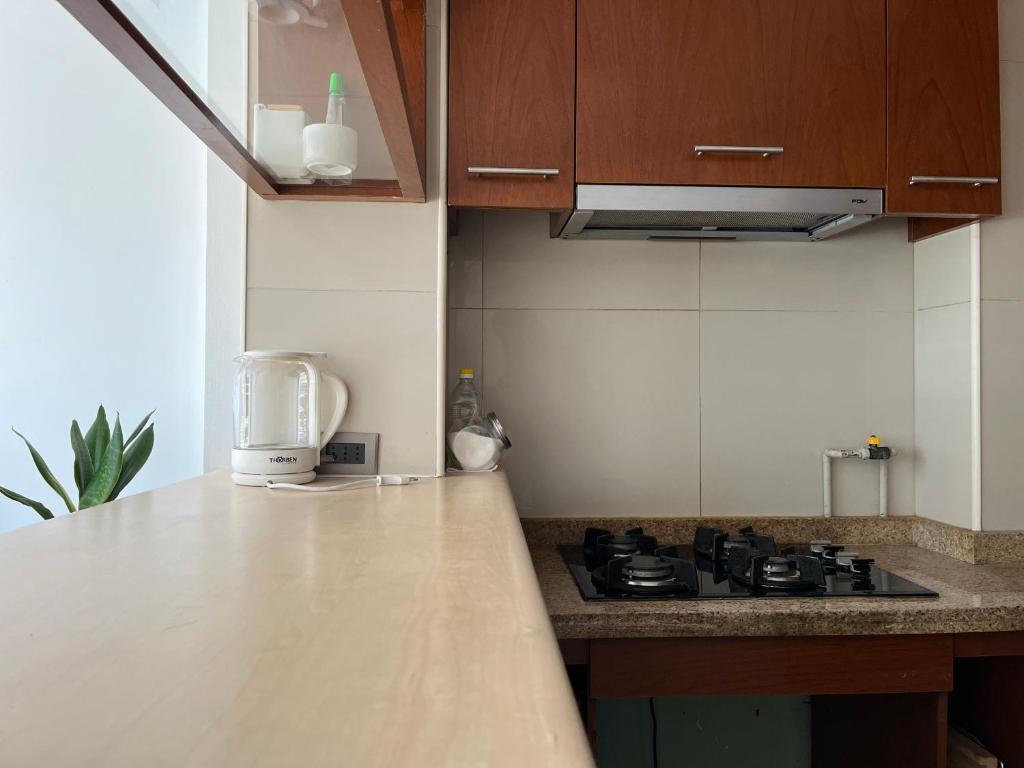 Kuchyň nebo kuchyňský kout v ubytování Chilhotel en Providencia