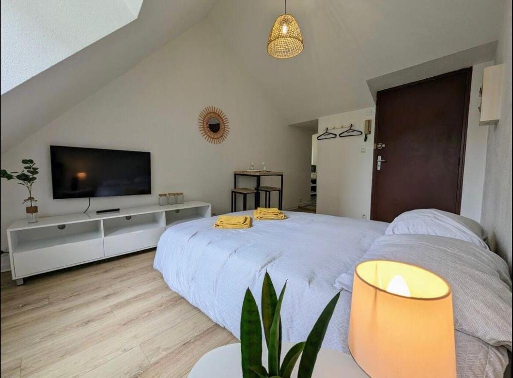 ein Schlafzimmer mit großem Bett und Flachbildfernseher in der Unterkunft Le calme in Saint-Brieuc