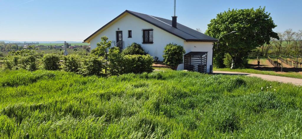 a small white house on a grassy hill at Ferienwohnung Fam. FREY in Kleinhöflein