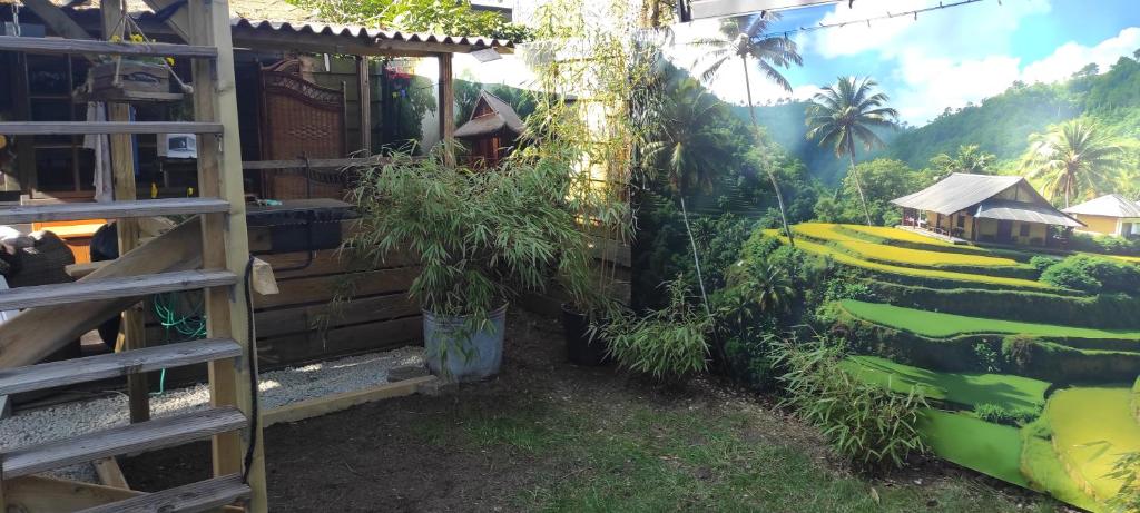 Zahrada ubytování "Tempat Senang" chalet on the beautiful Veluwe with airco sauna bbq jacuzzi beamer and dog