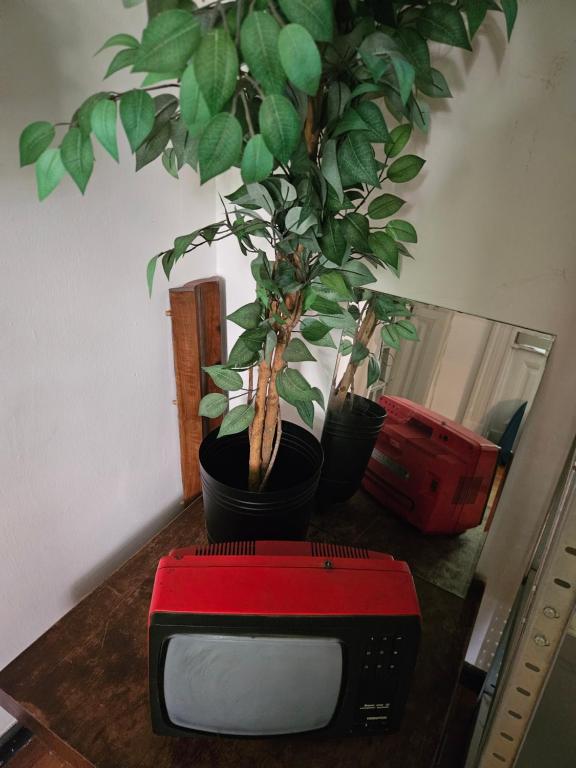 TV a/nebo společenská místnost v ubytování Ligeti Ruin Hostel