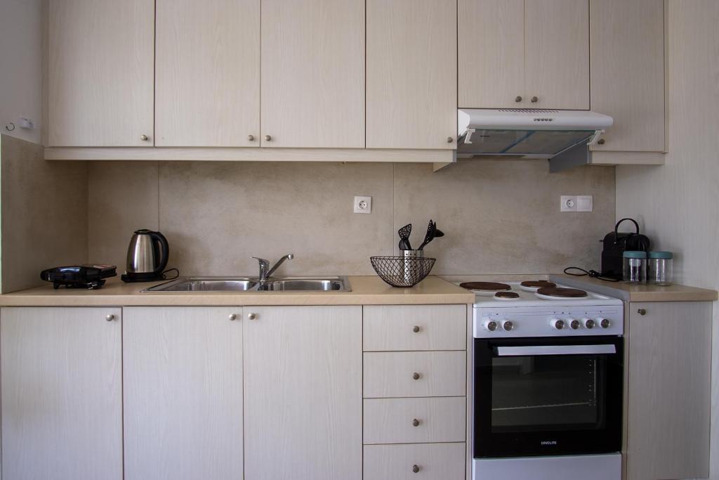 Kuchyň nebo kuchyňský kout v ubytování Sweet Sissi Homes
