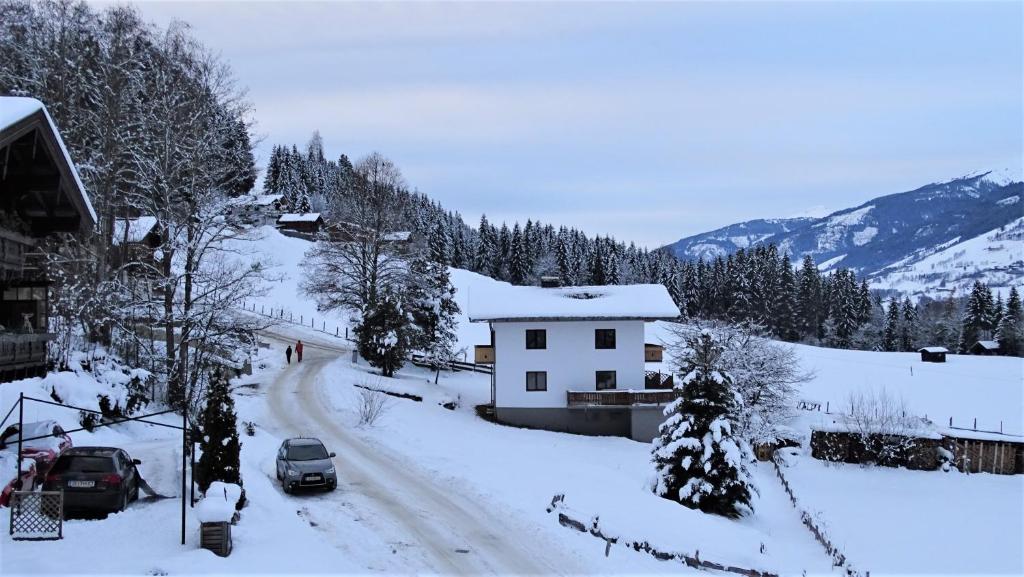AlpinResort DerBacherhof v zimě