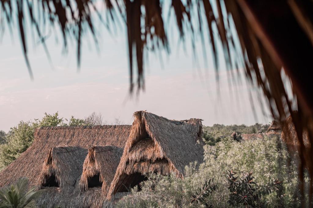Fotografie z fotogalerie ubytování Swell v destinaci El Paredón Buena Vista