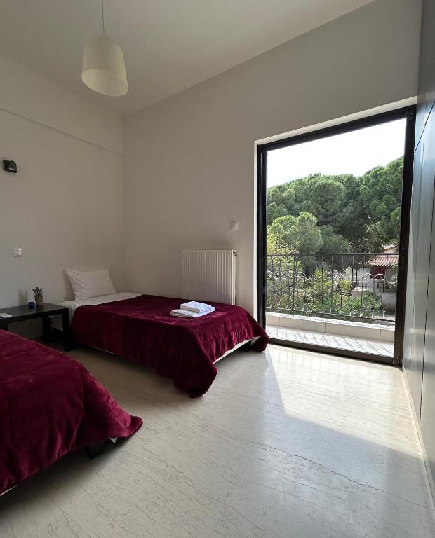 DREAM & HARMONY - 12