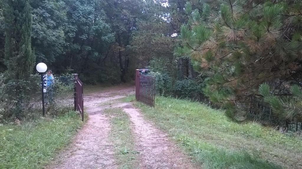 Příroda nedaleko apartmánu