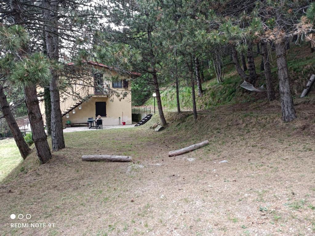 Příroda nedaleko apartmánu