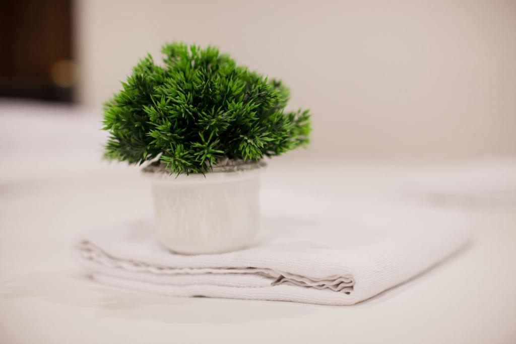 Top Hostel (Top Mansion) - Resim 42