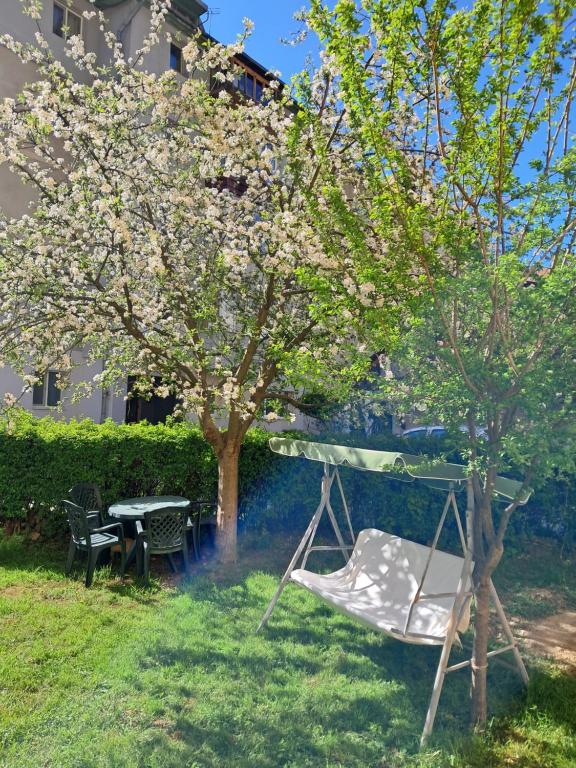 a hammock in a yard with a tree and a table at Apartament PARTER CU GRADINA in Slănic-Moldova