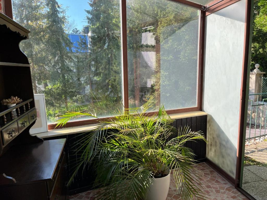 Zahrada ubytování Schöne Wohnung im Helenental
