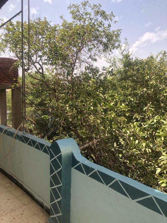 Balcone o terrazza di HAWATY NUBA DWeLL