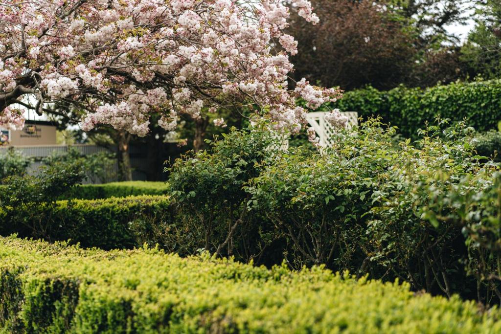 Brackenridge Country Retreat & Spa - Resim 43