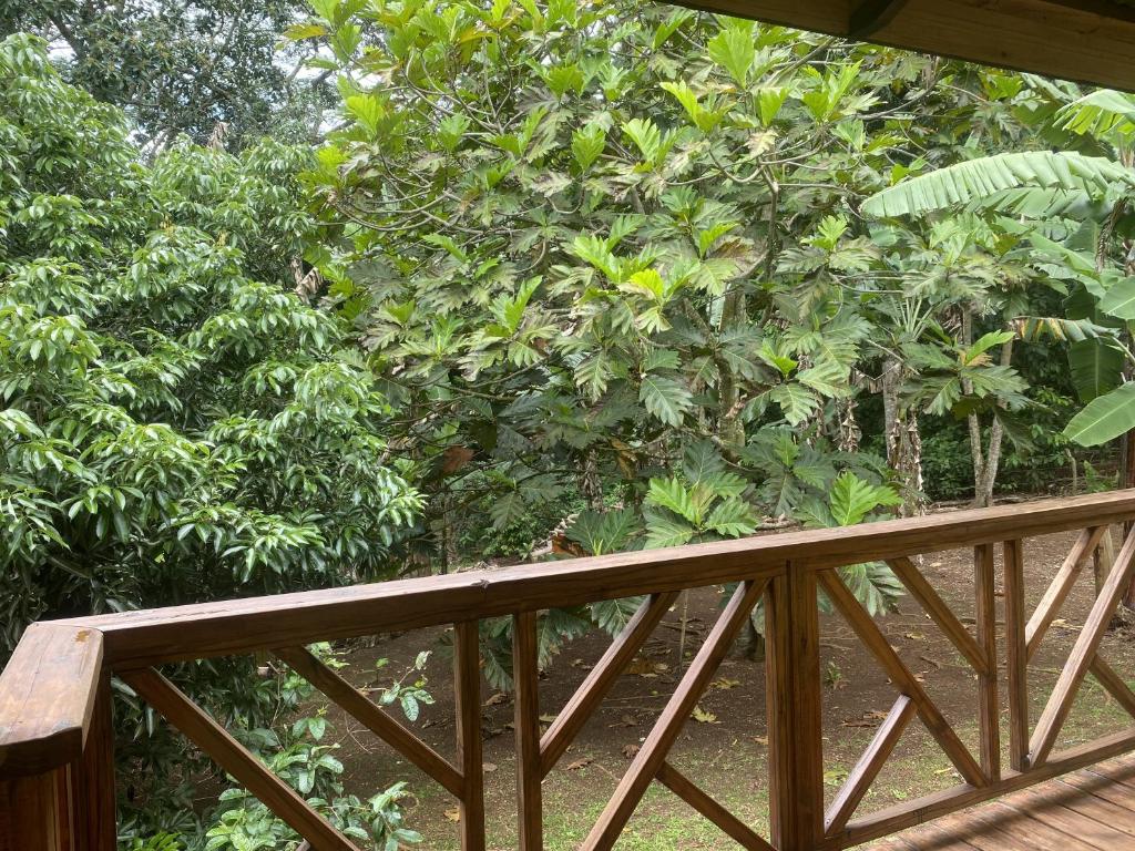 Fare Tamaruorai, Tubuai - photo 10 - Tubuai, Polynésie