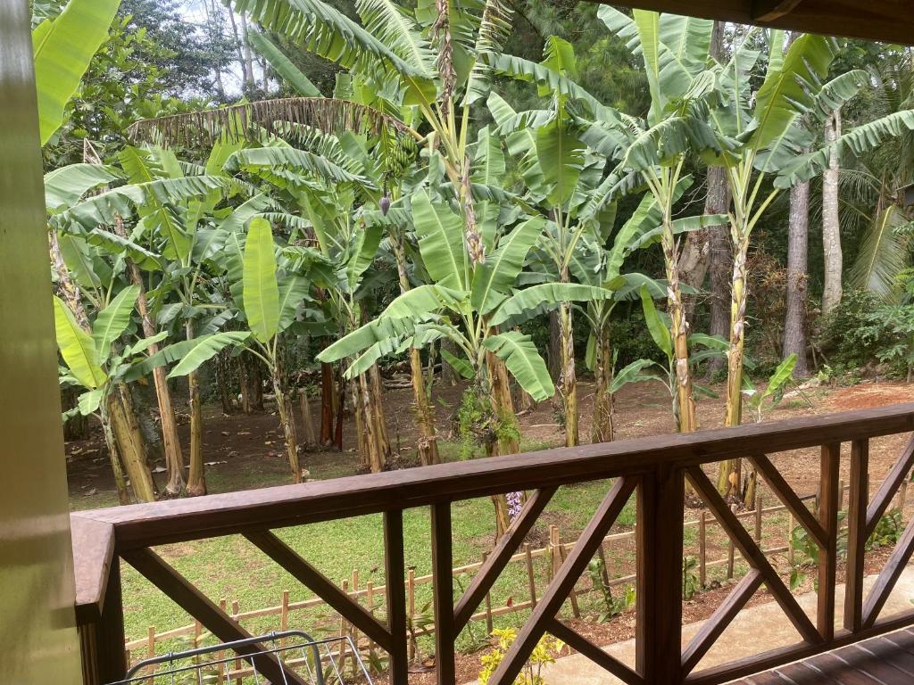 Fare Tamaruorai, Tubuai - photo 12 - Tubuai, Polynésie