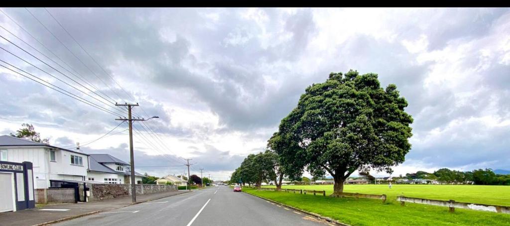 Giggly Nest - Resim 12